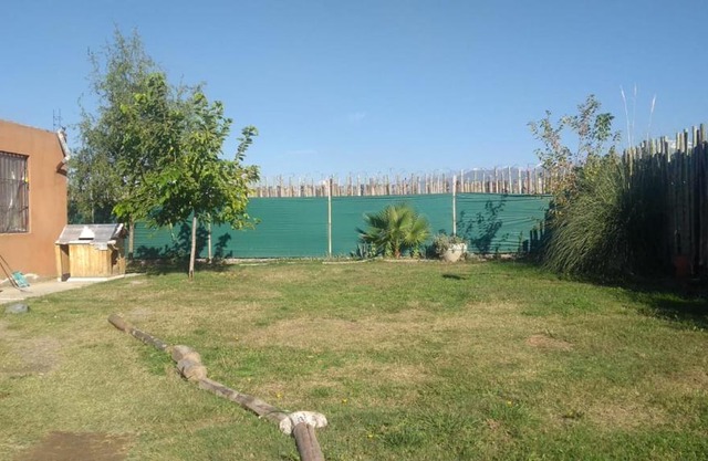 Andina