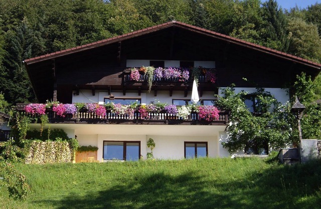 Angela Siedl - Apartamento