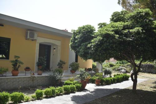 Angelica's House