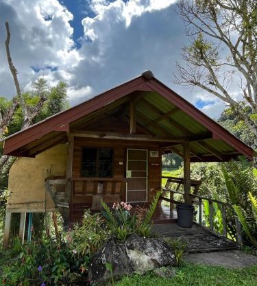 Angha forest view บ้านริมนา