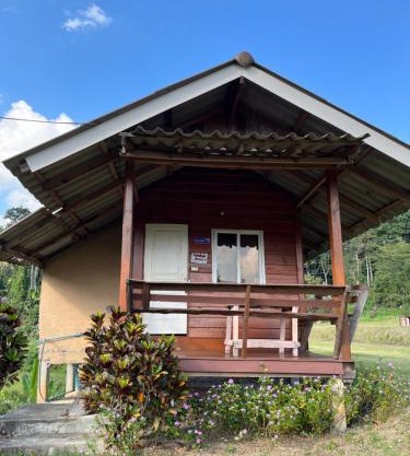 Angha forest view บ้านริมไผ่