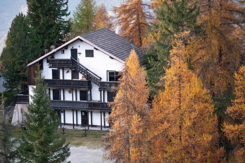 Angolo del Bosco