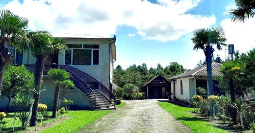 Ani's Green House