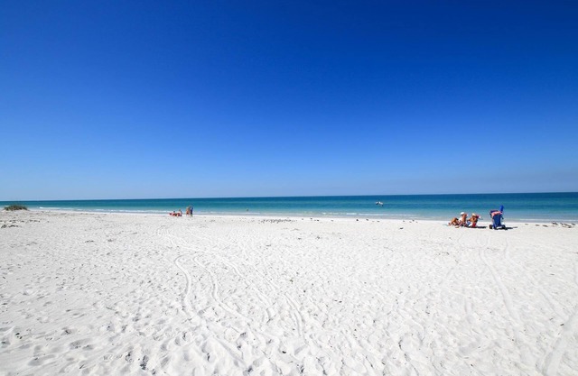 Anna Maria Island Beach Palms 6B