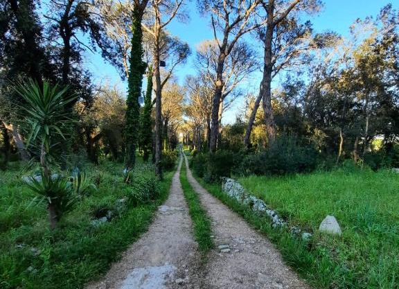 Antica riserva dei daini