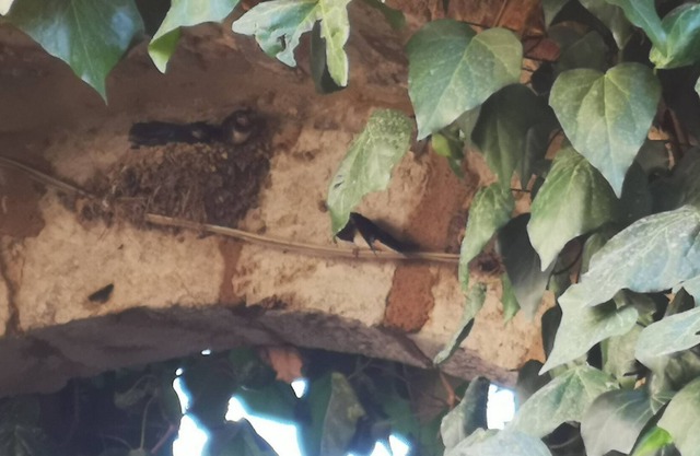 Antico Borgo di Torri