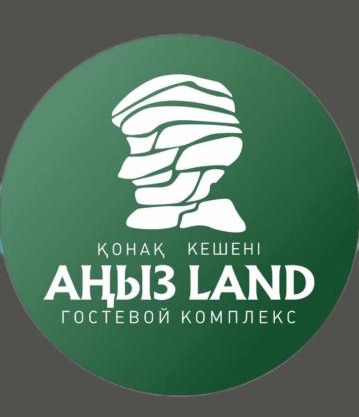 Anyz Land