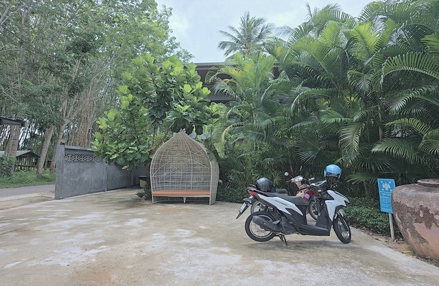 Aonangstudio