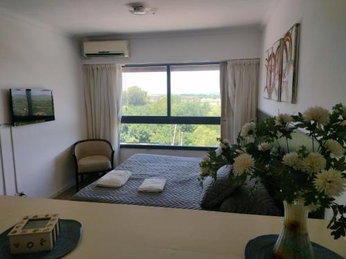 Apart Hotel 22 Rio Manso