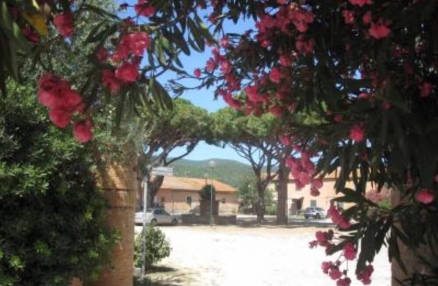 Piso / apartamento - Castiglione della pescaia