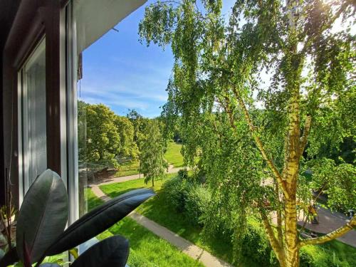 Apartament 2-pokojowy