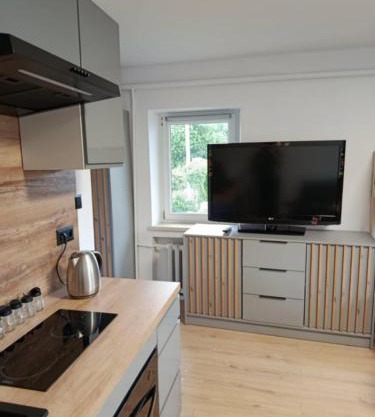 Apartament Centrum