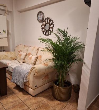 Apartament Florina