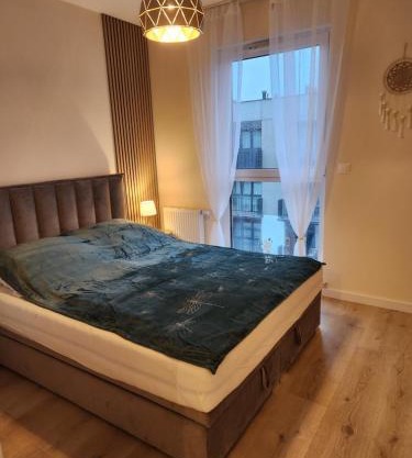 Apartament Golden Dragonfly