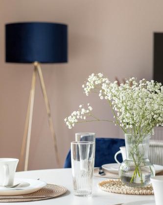 Apartament na Brzozowej