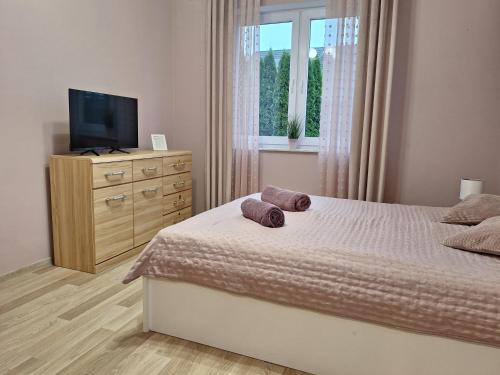 Apartament Platynowy - Malbork