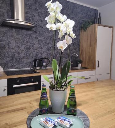 Apartament Pod Orzechem