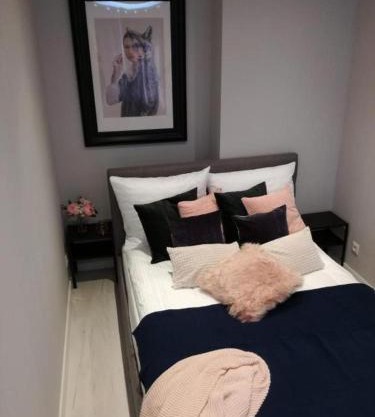 Apartament przy Parku