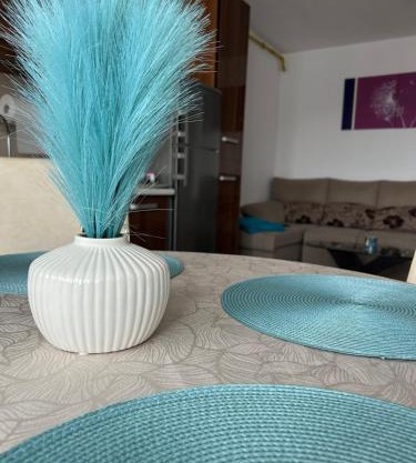 Apartament Sonia - 2 dormitoare