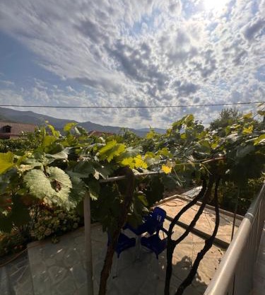 Apartament Teuta