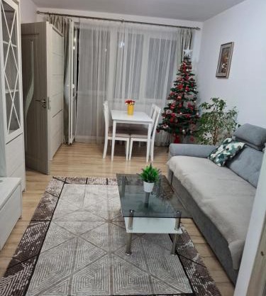 Apartament Ultra Central Marly Gura Humorului
