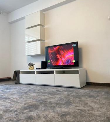 Apartament Ultracentral David