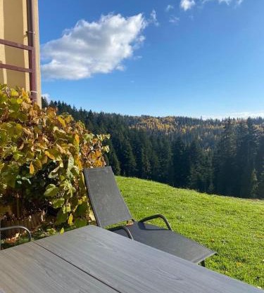 Apartament w górach Gorce