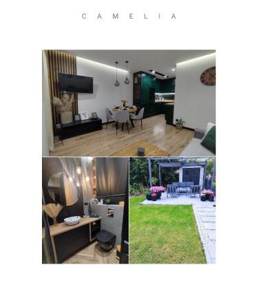 Apartament z ogrodem Camelia