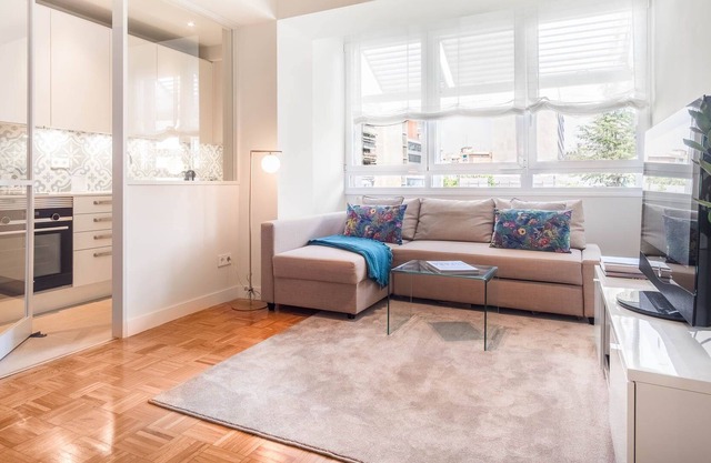 Apartamento en Barrio Salamanca (NUÑEZ DE BALBOA I)