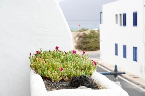 apartamento famara 4