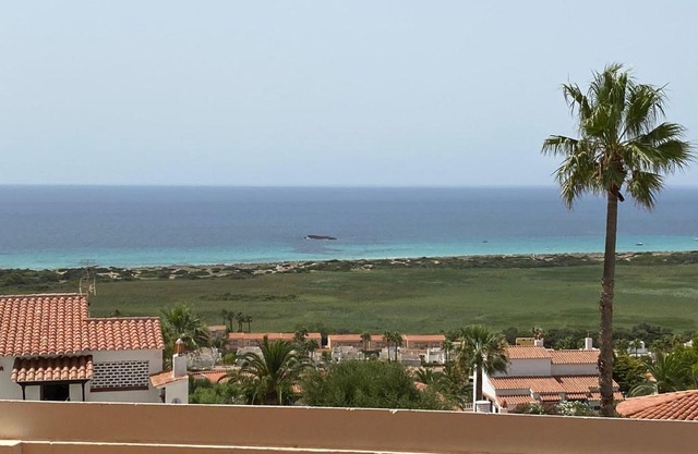 Apartamento Las Camelias 13