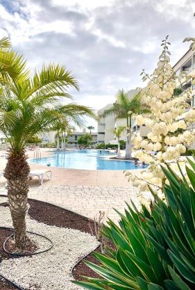 Apartamento Las Palmeritas Palm Mar Tenerife Sur