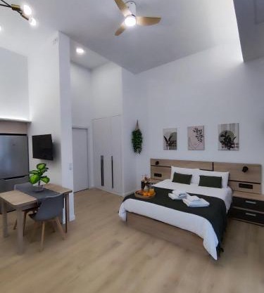Apartamento Río Turia Pingüino