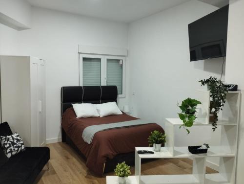Apartamento tipo Loft HM Vista Alegre Madrid