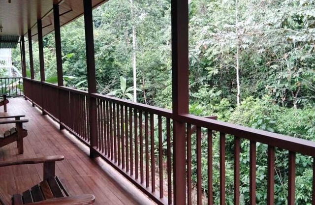 Apartamentos Caligo de Osa