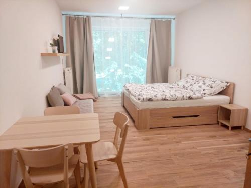 Apartmán IRIS Poděbrady