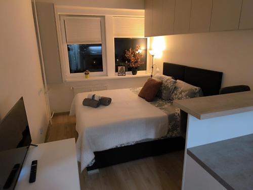 Apartmán Pohoda
