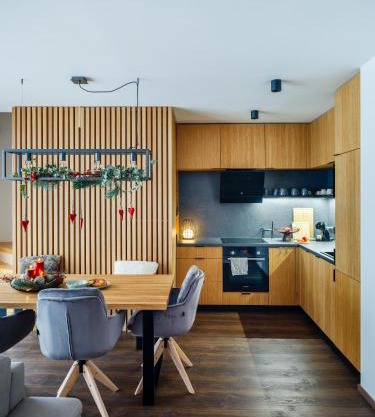 Apartmán Prkenný důl