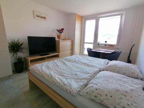 Apartmán Radhošť