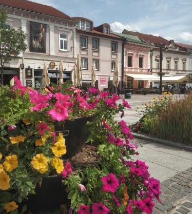 Apartmán Rebeka
