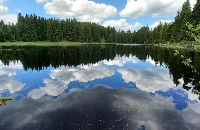 Apartmán Strážný