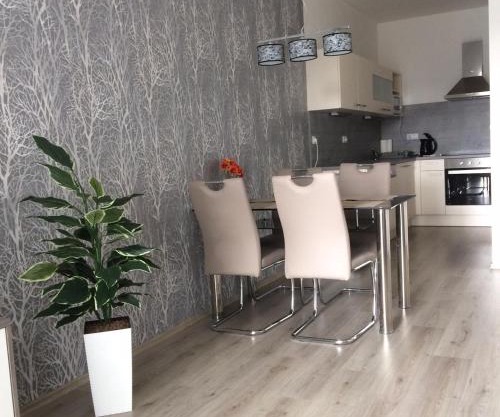 Apartmán Třeboň č. 1