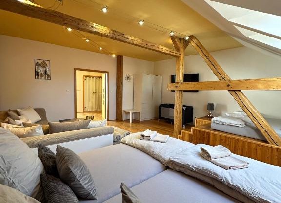 Apartmán u Dómu