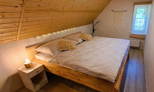 Apartmán u Ještěrky se saunou v ceně, Rejvízská 29, Jeseník