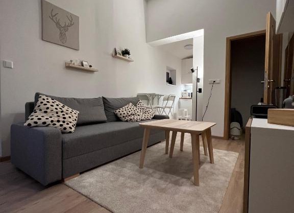 Apartmán U Potoka