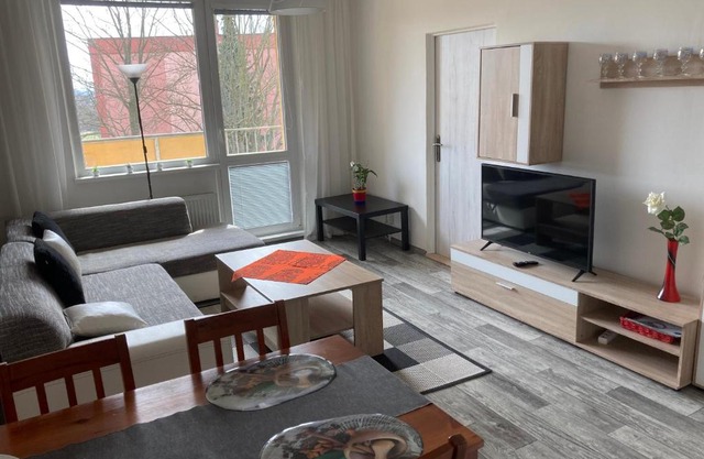 Apartmán ve Velkých Losinách