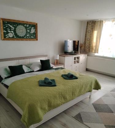 Apartmán Viky