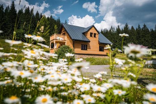 Apartmány Mezivodí