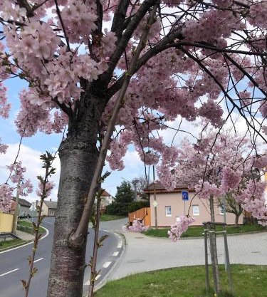 Apartmány na Vršku