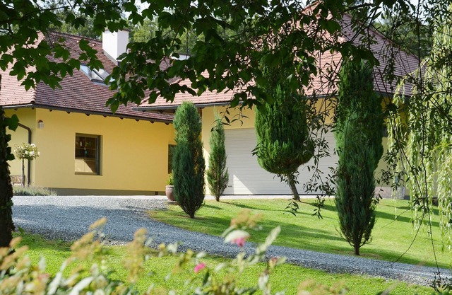 Apartamento - Wulfenia